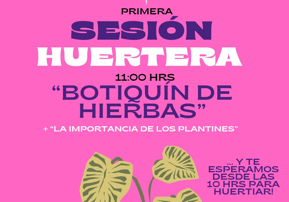 Afiche del evento "Primera Sesión Huertera "Botiquín de hierbas""