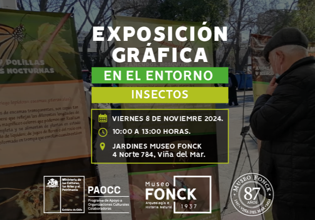 Afiche del evento "Museo Fonck te invita a una exposición gráfica sobre insectos"