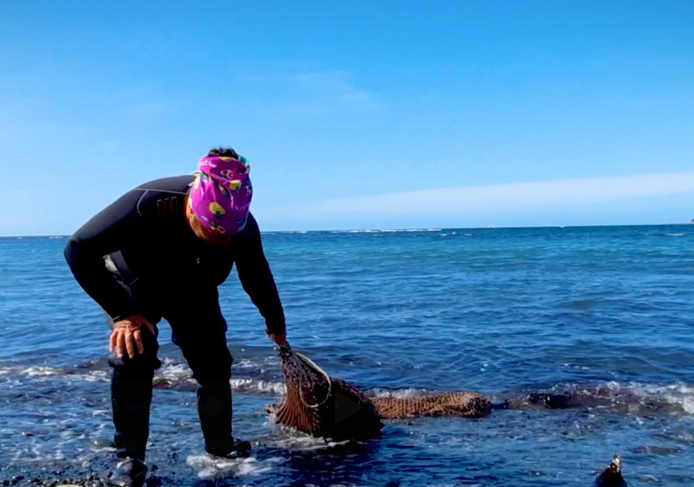 Afiche del evento "Mujeres mirando al mar: Fragmentos de cuerpos al sur - Mes de los Públicos"