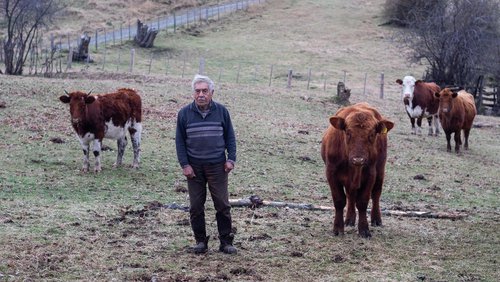 Afiche de "Conoce más sobre la Región de Aysén a través de sus habitantes"